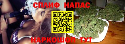 ПСИЛОЦИБИНОВЫЕ ГРИБЫ Заводоуковск