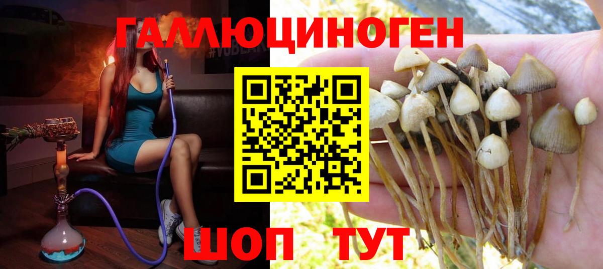 Псилоцибиновые грибы прущие грибы Менделеевск