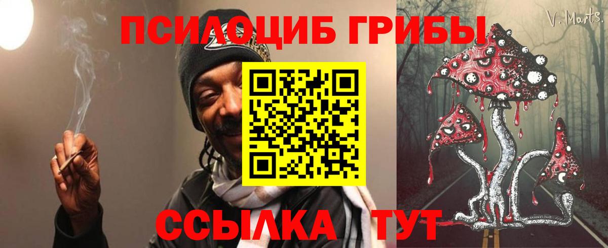 Менделеевск  закладка  Вход с VPN  Псилоцибиновые грибы прущие грибы 